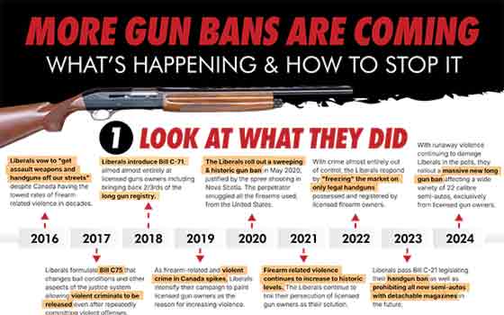 no more gun bans